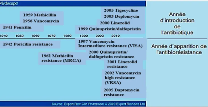 Figure 06 : Introduction des antibiotiques et développement de l’antibiorésistance chez S.