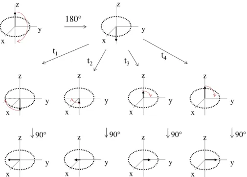 Figure 20 -  Représentation vectorielle de l’évolution de l’aimantation        au cours de l’inversion-récupération d’après  Hore 6  avec t = t