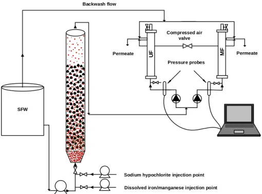 Figure 3.4. Schematic of the pilot-scale PFB- MF/UF hybrid process.