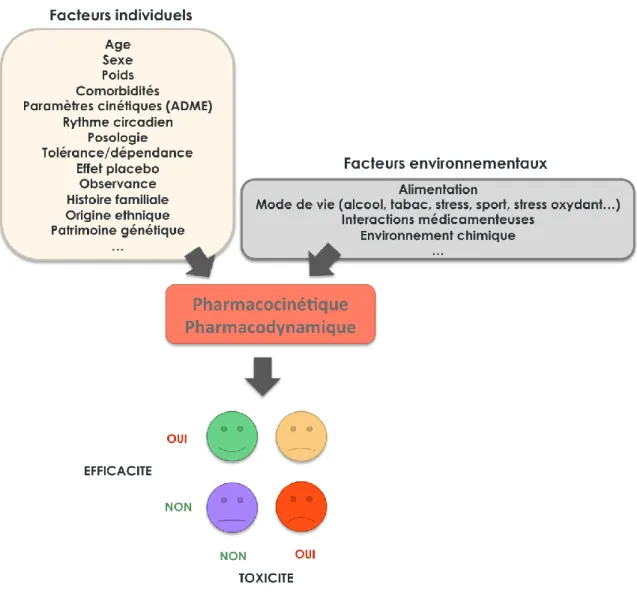 Figure 1.2 |Facteurs influençant la réponse aux médicaments.
