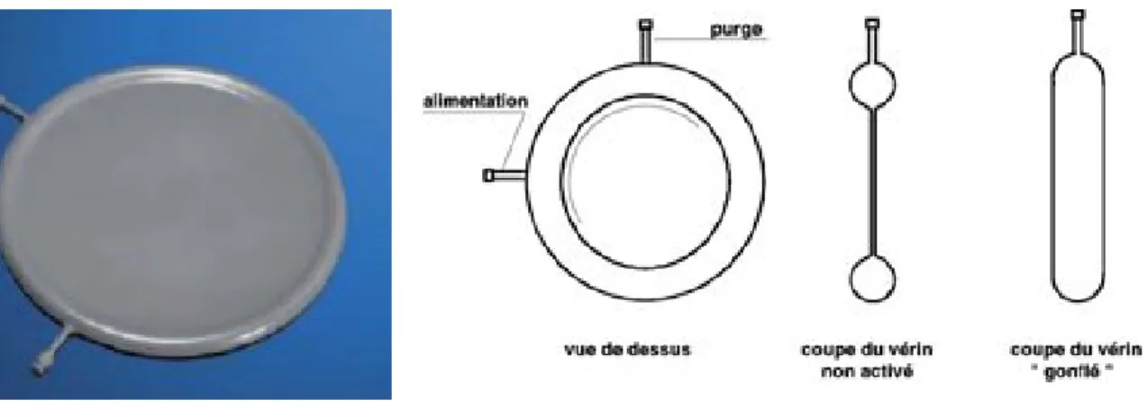 Figure 3.14: Vérin plat Freyssinet 