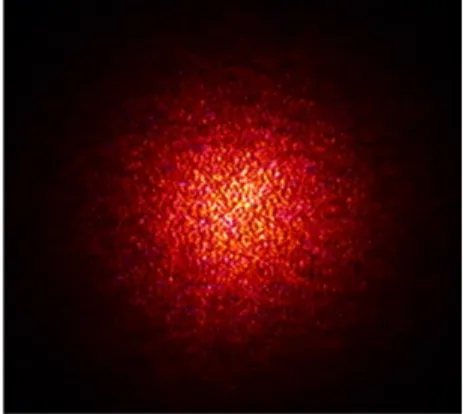 Figure 1.3 – Exemple de figure de speckle transmis par un échantillon de 70 µm, composé de billes de silice de