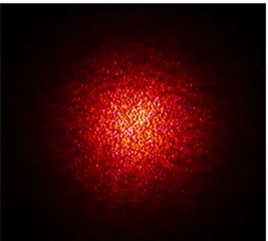 Figure 2.2 – Exemple de figure de speckle transmis par un échantillon de 70 µm, composé de billes de silice de