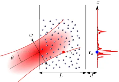 Figure 3.5 – Allure du milieu désordonné. Le faisceau incident gaussien est focalisé en un point de l’interface