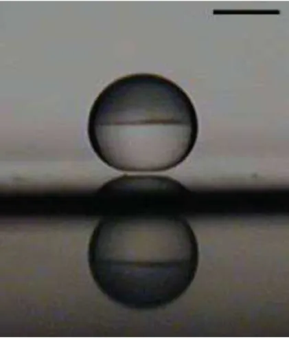 Figure 1.1 – Goutte d’eau en caléfaction sur une plaque chauffante (cliché tiré de [2])
