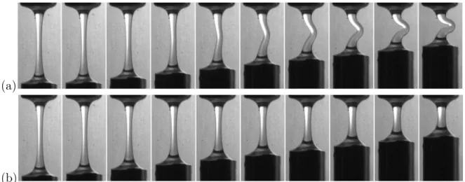 Figure 4.1 – Exemple de flambage solide : il s’agit ici d’une tige de plexiglas de 1 mm de diamètre comprimée par ses extrémités.