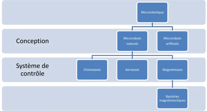 Figure 1-2: Schéma de la structure de la revue de littérature sur la microrobotique. 