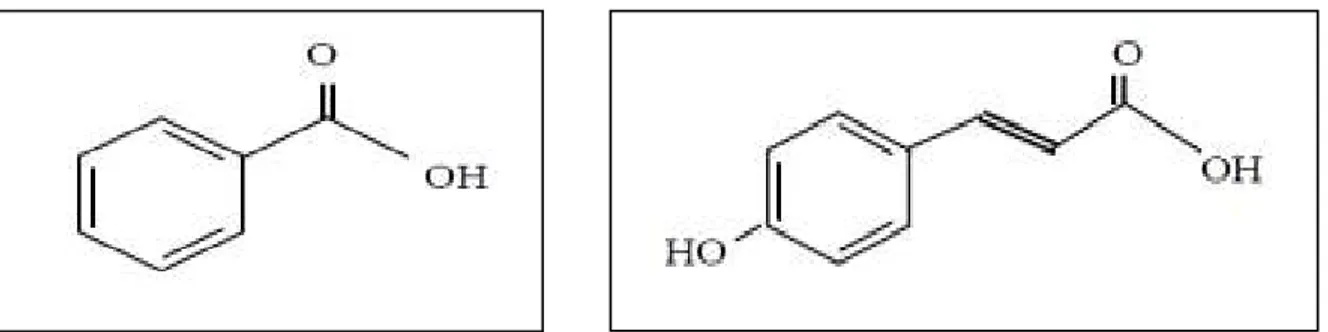 Figure 04: Structure de base des acides benzoїque et cinnamique (Bruneton, 2009). 