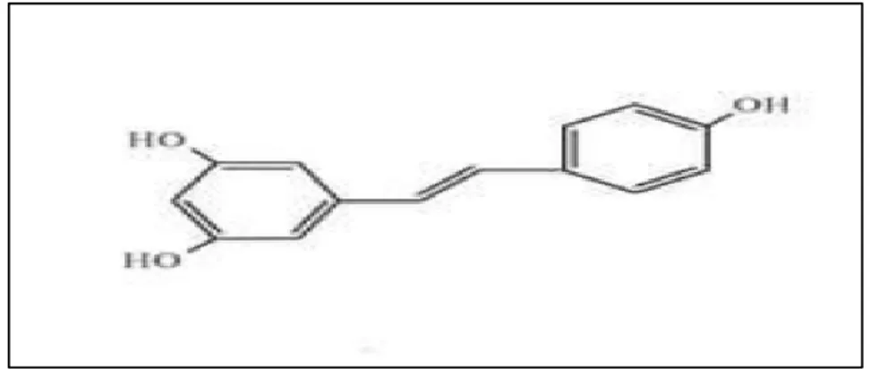 Figure 06:Un exemple de stilbénes: le resvératrol  (Macheix et al., 2005). 