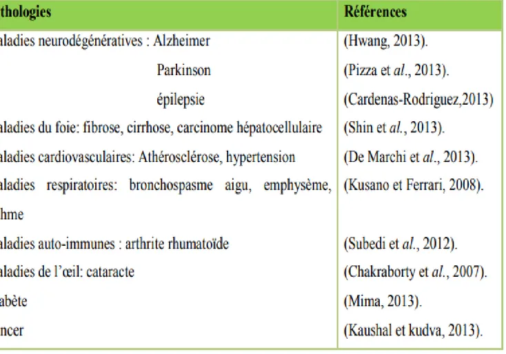 Tableau II: Principales maladies liées au stress oxydant (In Ferdjioui, 2014). 