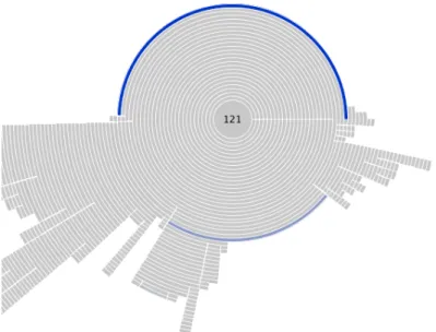 Figure 2.3 Example of Radial view in Trevis [Source [2]]