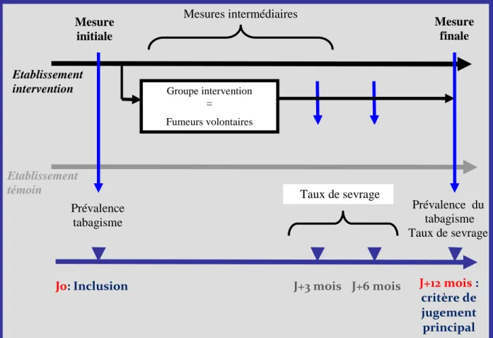 Figure 5 : Diagramme général de l’étude TABADO 