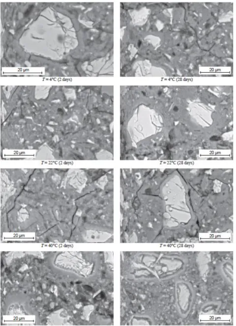 Figure 2.19: Micrographies d’une pâte de ciment CEM I 42.5R mûrie à différentes températures  (Elkhadiri et al., 2009) 