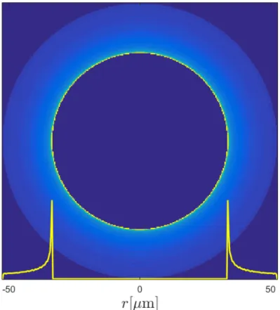 Figure 2.6 Distribution d’intensité géométrique d’une famille de rayon pour r in = 33, 8 µm