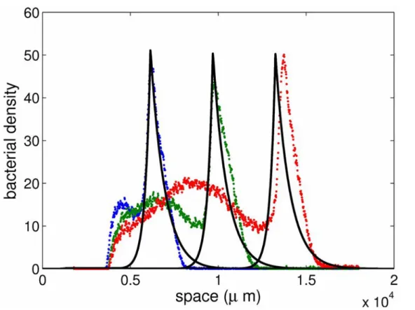 Figure 8  Prols expérimental et théorique des batéries dans [115℄