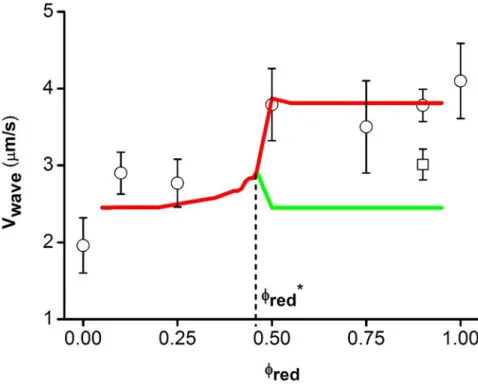 Figure 13  Vitesse de l'onde en fontion de la proportion φ cherry : les résultats expérimentaux sont représentés par leurs moyennes (erles) et leurs éarts types (barres d'erreur)