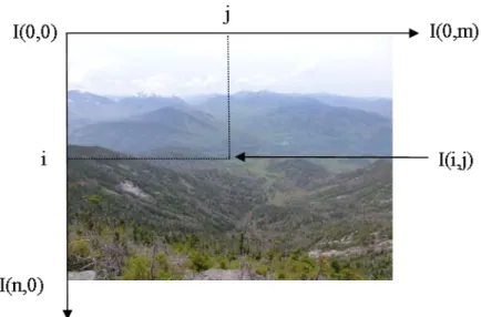 Figure 3-1 : Convention de notation pour la représentation d’une image sous Matlab ® 