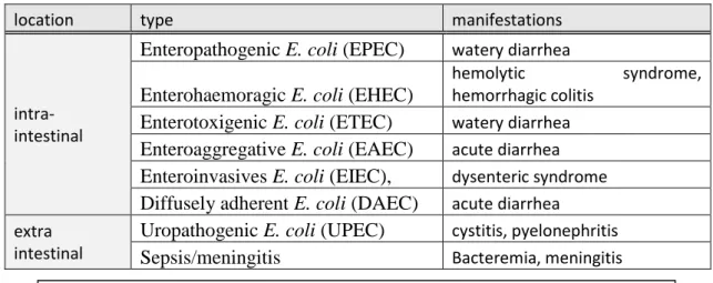 Table 1: the different types of E. coli infections and their manifestations 