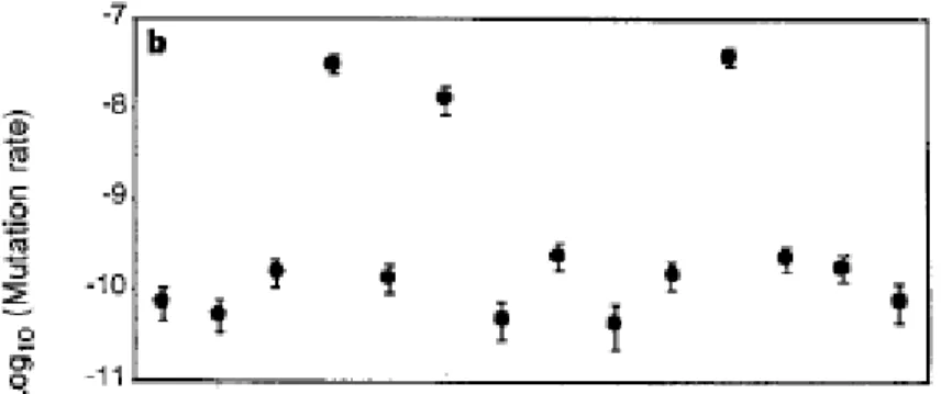 Fig 7: Rates of mutations to nalidixic acid resistance  in  the  12  Ara-  and  Ara+      populations  at  10,000  generations (from Sniegowski et al, 1997) 
