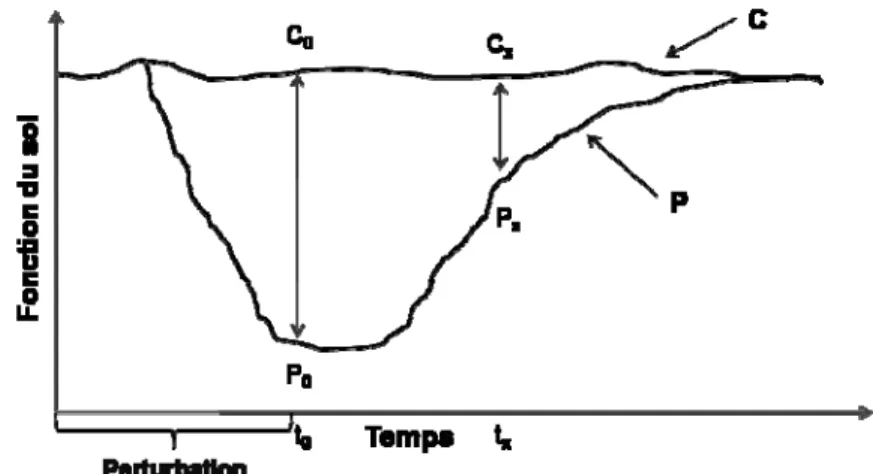 Figure 1-1 : Exemple de la réponse d’une fonction face à une perturbation, appliquée juste avant  le temps t 0 , adapté et modifié de (Herrick et Wander, 1998; Seybold et al., 1999; Orwin et  Wardle, 2004; Tugel et al., 2005)