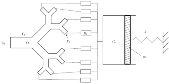 Figure 1.4 – Schéma de la modélisation de l’appareil respiratoire : on divise l’appareil respiratoire en trois parties.