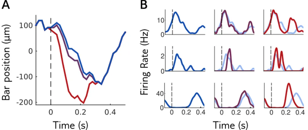 Figure IV.2 – Sensitivity of a neural population to visual stimuli. A.: the retina is stimulated with repetitions of a reference stimulus (here the trajectory of a bar, in blue), and with perturbations of this reference stimulus of different shapes and amp