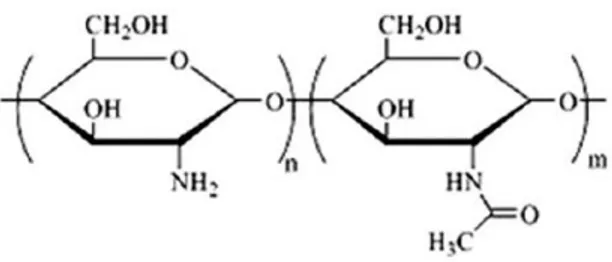 Figure 2-6: Schematic representation of chitosan structure (Dash, Chiellini et al. 2011)