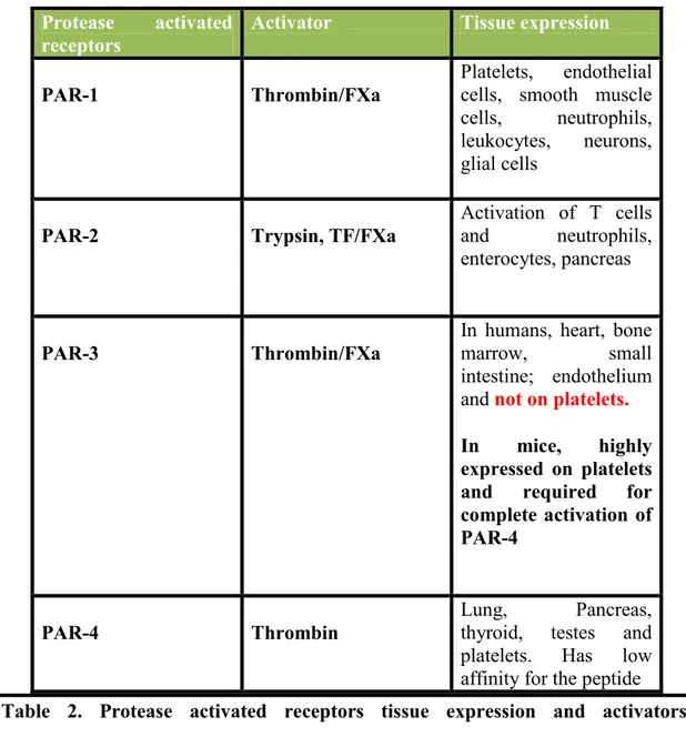 Table  2.  Protease  activated  receptors  tissue  expression  and  activators. 