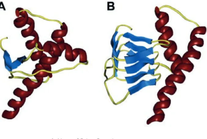 Figure 1.6: A: Functional PrP C . B: PrP C is converted into PrP Sc , rich in sticky β-sheets (the blue structure)