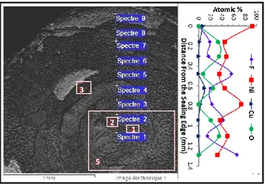 Figure 5.8: Left: Image obtained by SEM of the inhomogeneous corrosion layer on the surface of  the Ni sealing