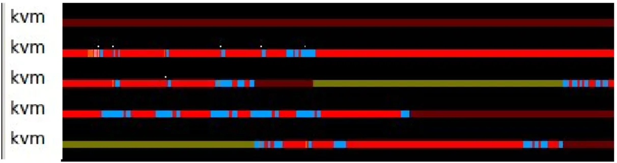 Figure 4.1 Visual representation of a the VIRT state