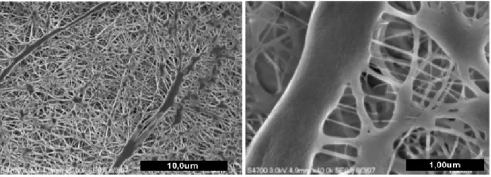 Figure 2.7 : MEB d’une membrane typique utilis´ ee pour le proc´ ed´ e VAP  R .