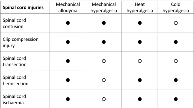 Table 3 : Summary of the different neuropathic pain models and their associated symptoms of  allodynia and hyperalgesia