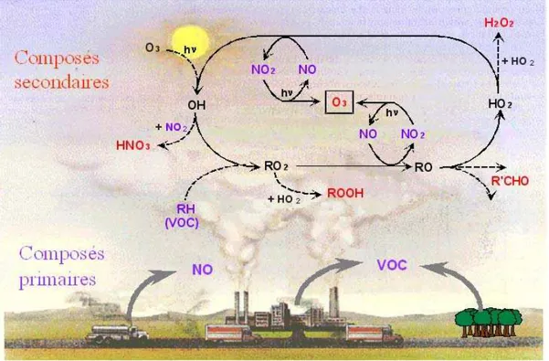 Figure  3  :  Processus  de  transformation  des  COV  en  présence  de  NOx  conduisant  à  la  formation  de  photoxydants tels que l’ozone