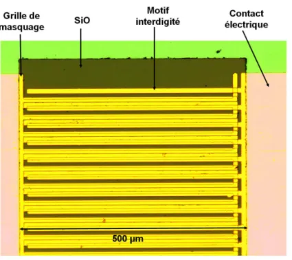 Figure 3.15  Photo au mircroscope optique de la structure nale d'une antenne interdigitée.