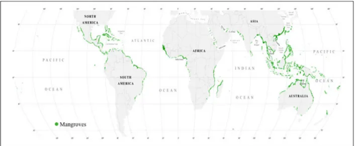 Figure I-1 : Distribution des forêts de mangrove dans le monde (Giri et al., 2011). 