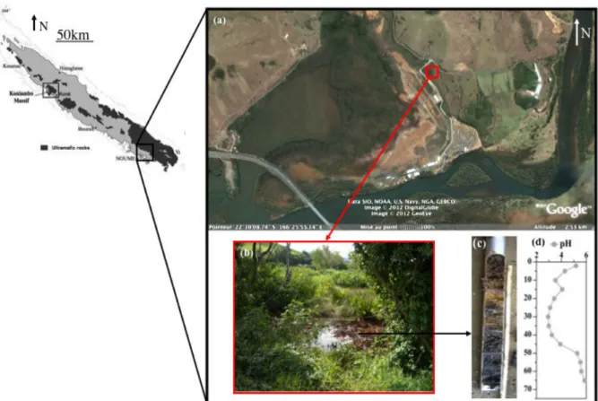 Figure  II-3 :  Localisation  de  la  baie  de  Dumbea,  et  de  la  zone  étudiée  (a)