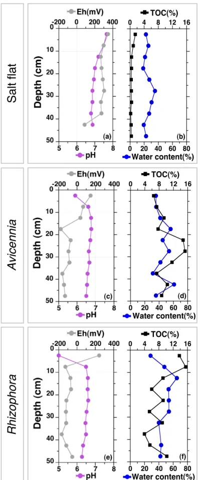 Figure III-2: Physicochemical parameters measured as a function of depth in the mangrove  sediments cores collected beneath salt flat, Avicennia, and Rhizophora