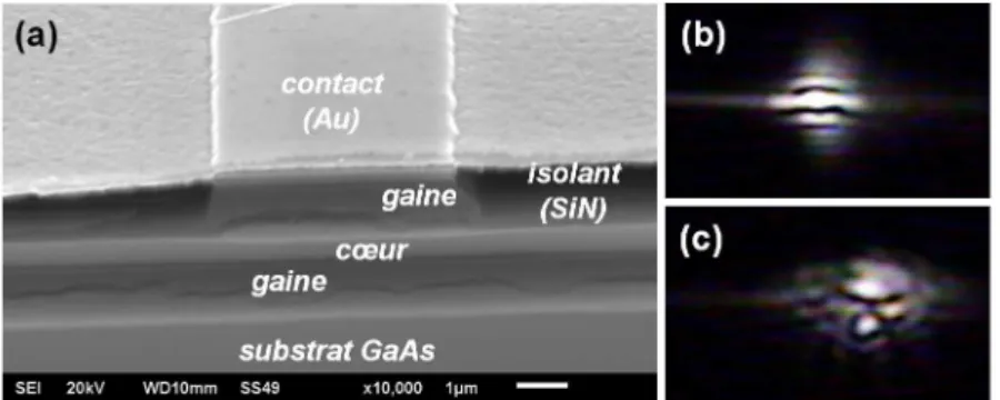 Figure 2.2: (a) Images MEB d'un échantillon de diode laser à mode d'ordre 3 : les deux couches de gaine sont entièrement oxydées et présentent des ssures