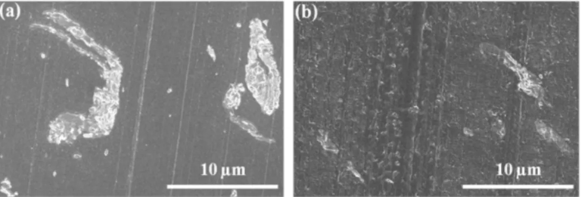Figure  4-6 : SEM micrographs of PET nanocomposites containing Cloisite Na + ; (a) processed  without water and (b) with water