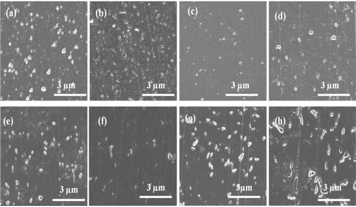 Figure  4-7 : SEM micrographs of PET nanocomposites processed under different conditions; (a)  PET-C30B-L, (b) C30B-L, (c) SSP-C30B-L, (d) PET-C30B-H, (e) 