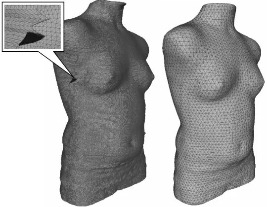 Figure 3.6 : Prétraitement et simplification d’un maillage passant de 69,600 nœuds et  138,652 triangles à 6,355 nœuds et 12,559 triangles 