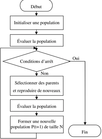 Figure 2.9 : Algorithme génétique. 