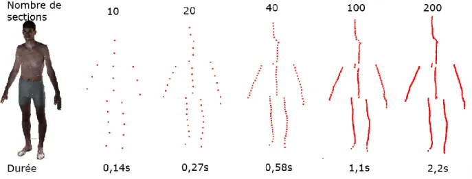 Figure 2.2: Exemple de tranche horizontale au niveau du tronc d'un sujet en posture A 