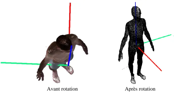 Figure 2.10: Orientation du scan dans le repère anatomique de référence 