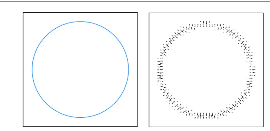 Figure 2.3: Image information used by edge-based models. The target contour (left), induces on the digitized image high intensity variations, yielding a gradient map shown on the right