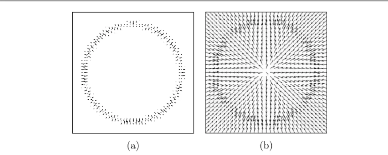 Figure 2.6: Comparison of a classical gradient map (a) and the gradient vector flow (b)