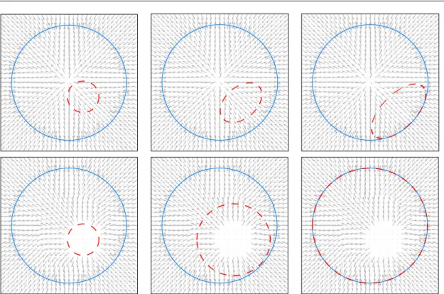 Figure 2.7: Comparison between the GVF (top row) and the EGVF (bottom row) for a particular initial contour