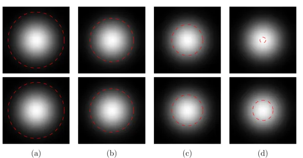Figure 2.8: Comparison of edge-based model (top row) and region-based model (bottom row) on an image with weak gradients