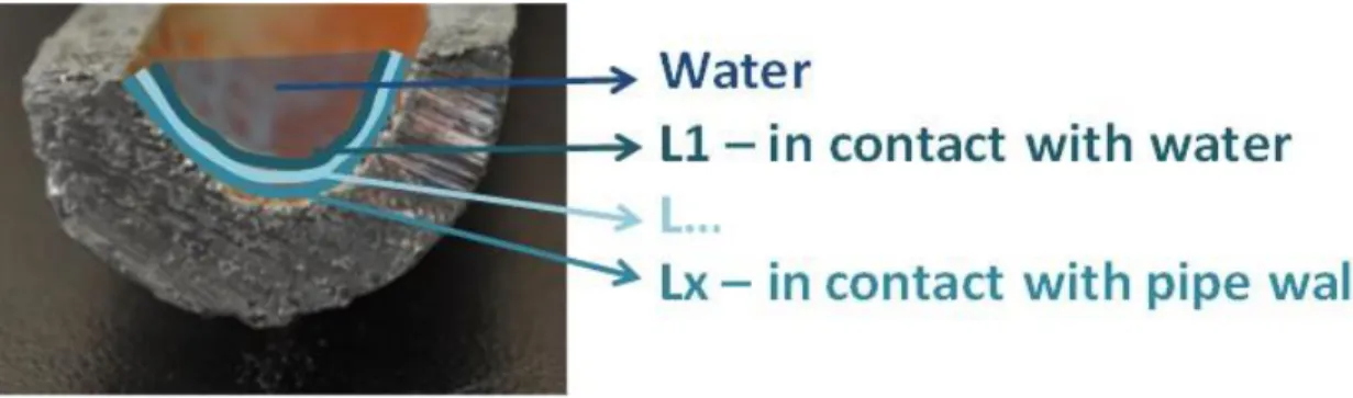 Figure 3.5 Cross-sectional representation of the different layers which can be present in the pipes